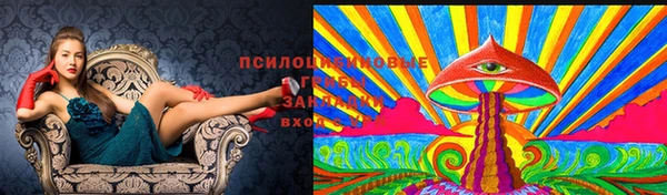герыч Горняк