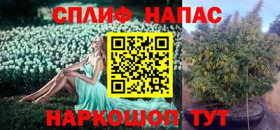 ECSTASY Бугуруслан