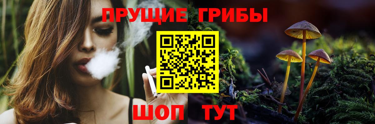 Галлюциногенные грибы мухоморы  Галлюциногенные грибы GOLDEN TEACHER  Гусь-Хрустальный 