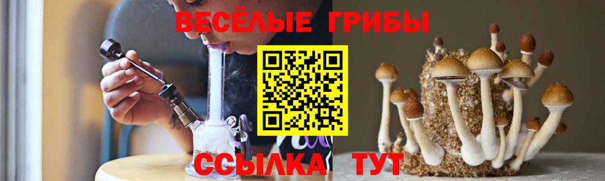 Псилоцибиновые грибы Psilocybe  Галлюциногенные грибы мицелий  Гусь-Хрустальный  Вход с VPN 